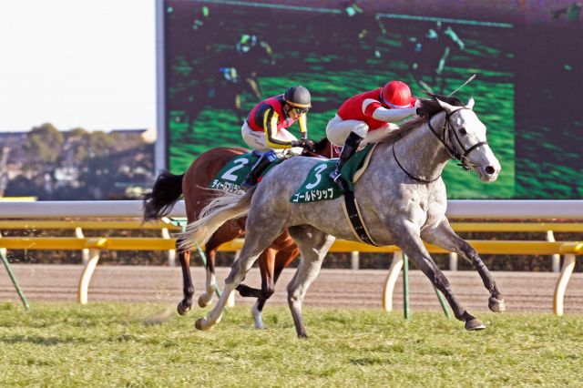 ゴールドシップの競走成績 血統 次走情報はwin 競馬