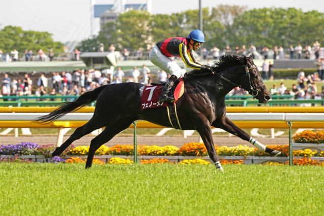 フェノーメノの競走成績 血統 次走情報はwin 競馬 フェノーメノの競走成績 血統 次走情報はwin 競馬