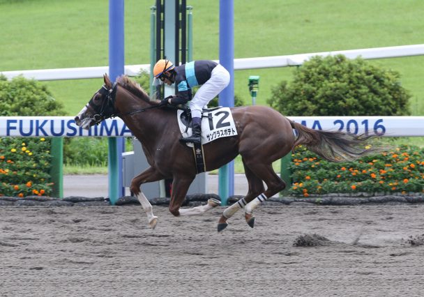 サングラスポテトの競走成績 血統 次走情報はwin 競馬