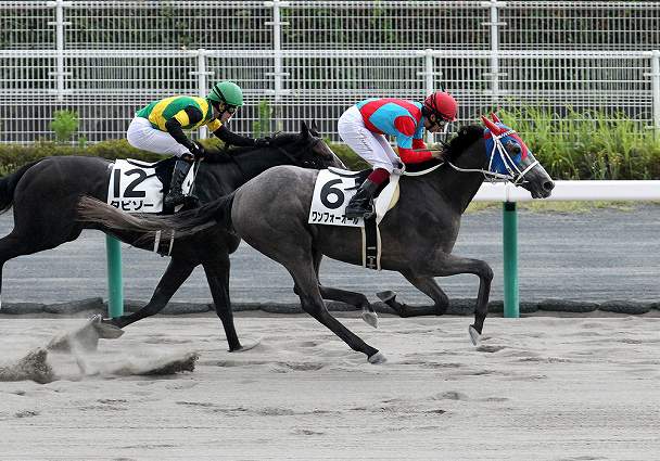 ワンフォーオールの競走成績 血統 次走情報はwin 競馬 ワンフォーオールの競走成績 血統 次走情報はwin 競馬