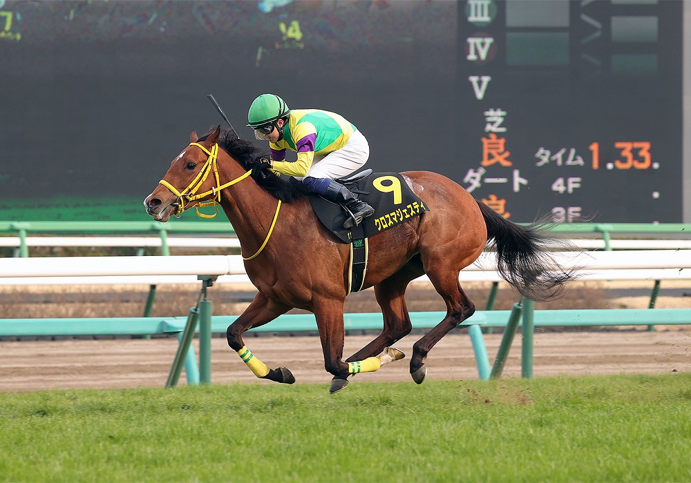 クロスマジェスティの競走成績 血統 次走情報はwin 競馬