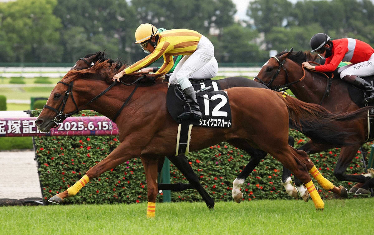 シェイクユアハートの競走成績・血統・次走情報はWIN!競馬
