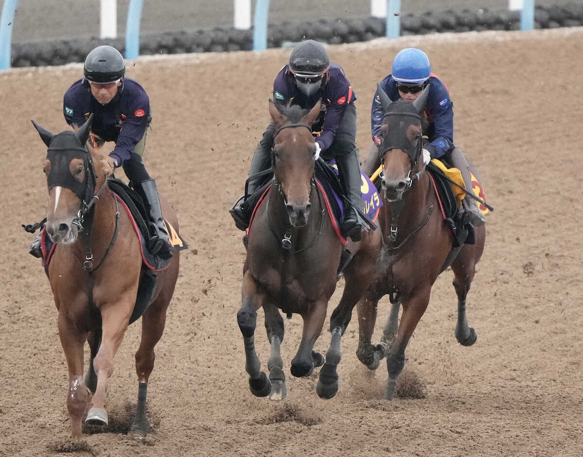 ニュース詳細 - WIN!競馬